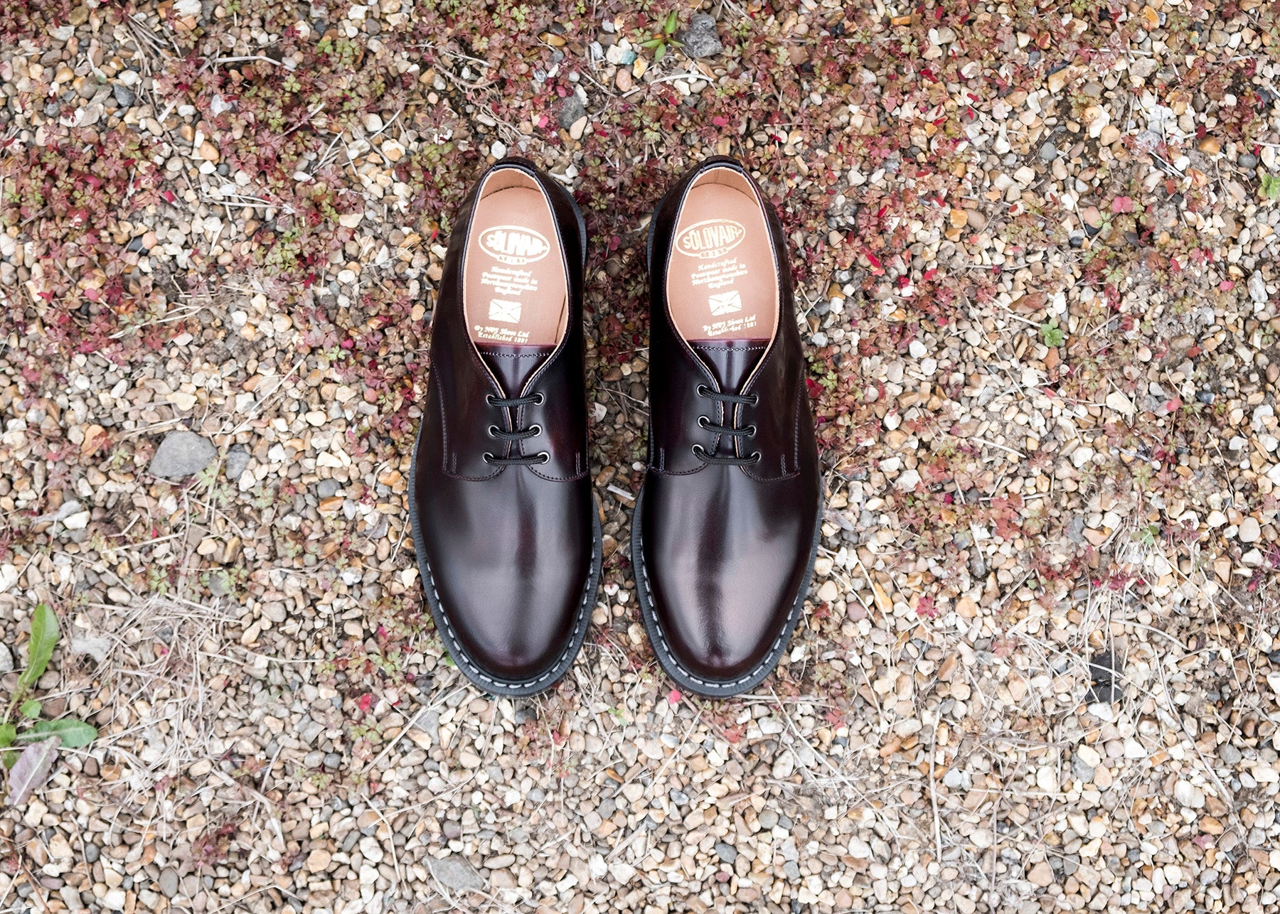 Burgundy Rub-Off Gibson Shoe - Image 7